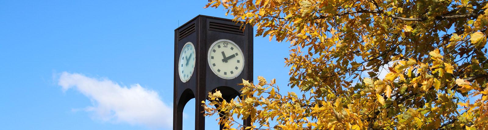 the clock tower as seen through golden fall leaves